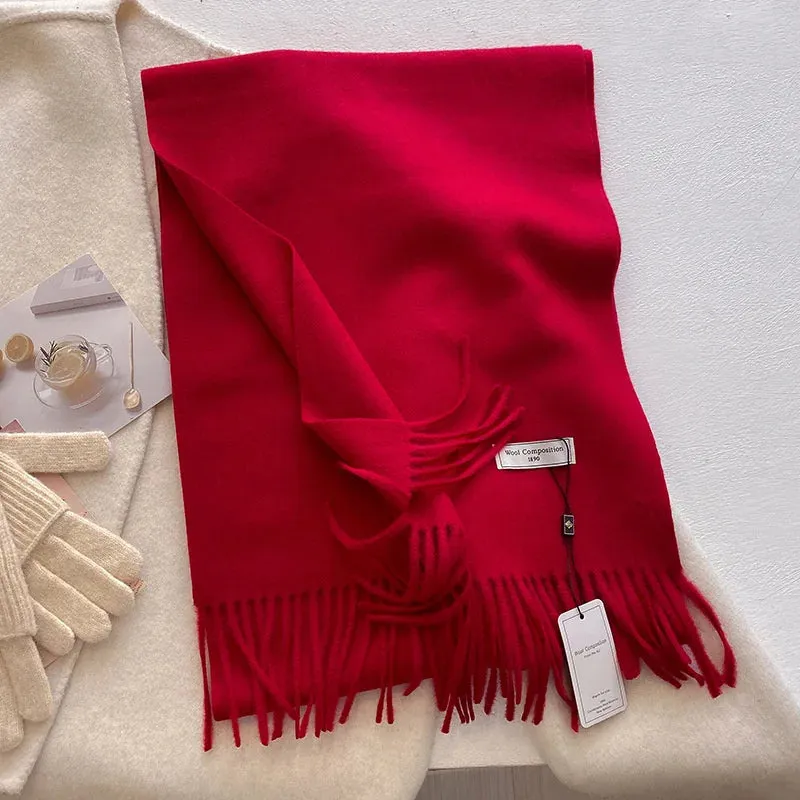 2024 Womens Winter Wool Scarf | Long Cashmere Shawl & Pashmina Wrap | EnigmaParis