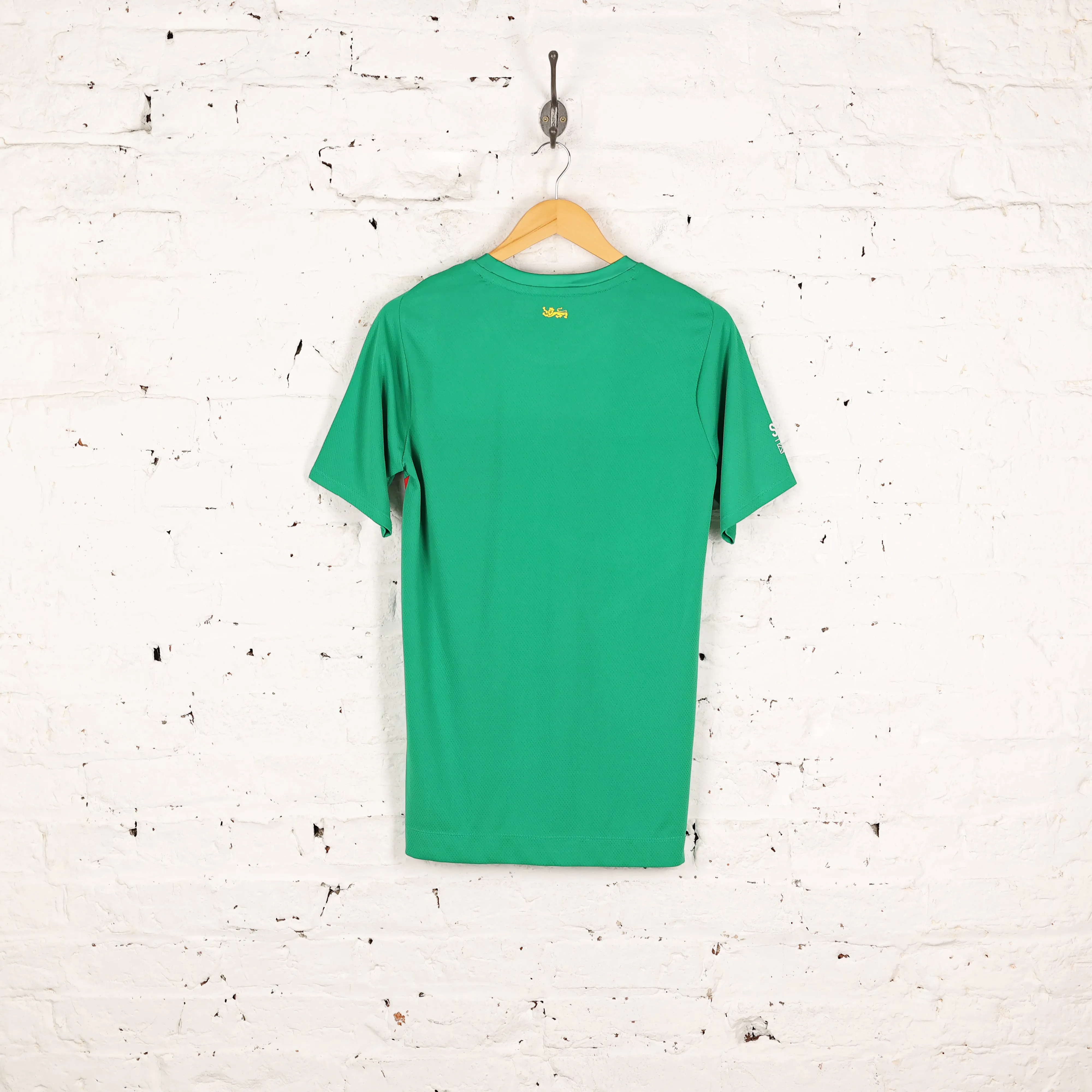 British and Irish Lions Training Top Shirt - Green - S