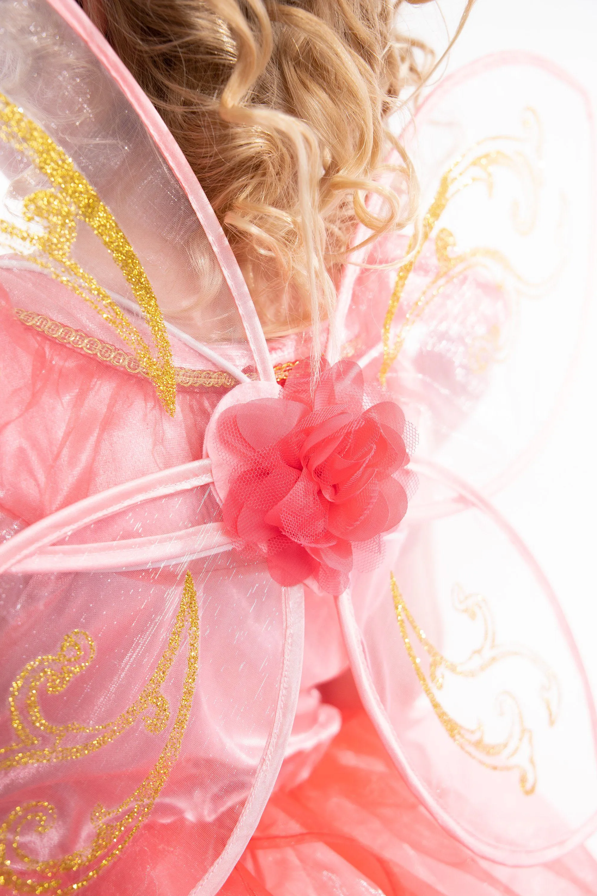 Butterfly Fairy Wings - Out of Stock (Available for Backorder)