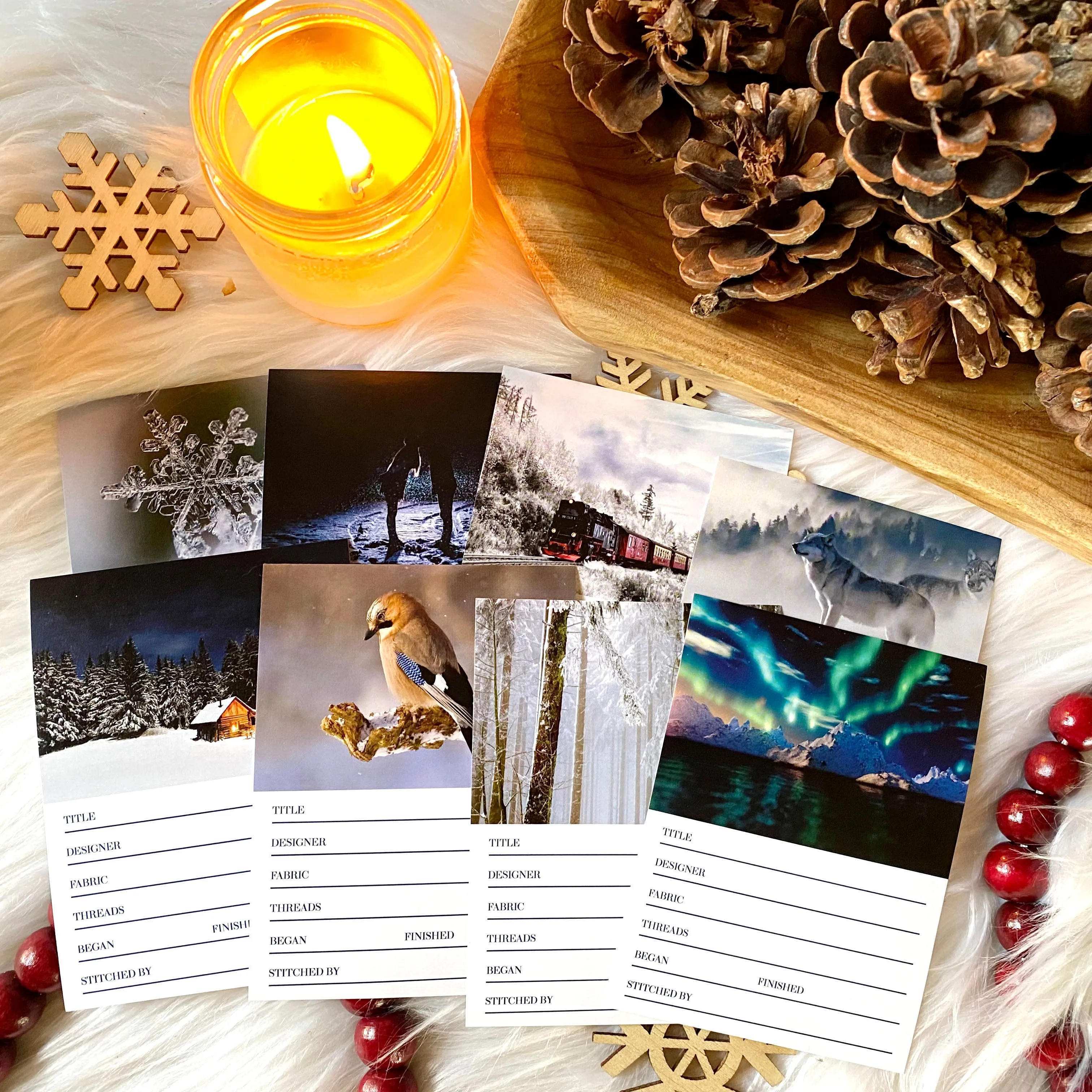 Exclusive Winter Project Sticker Set (Vault)