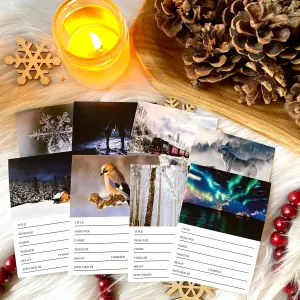 Exclusive Winter Project Sticker Set (Vault)