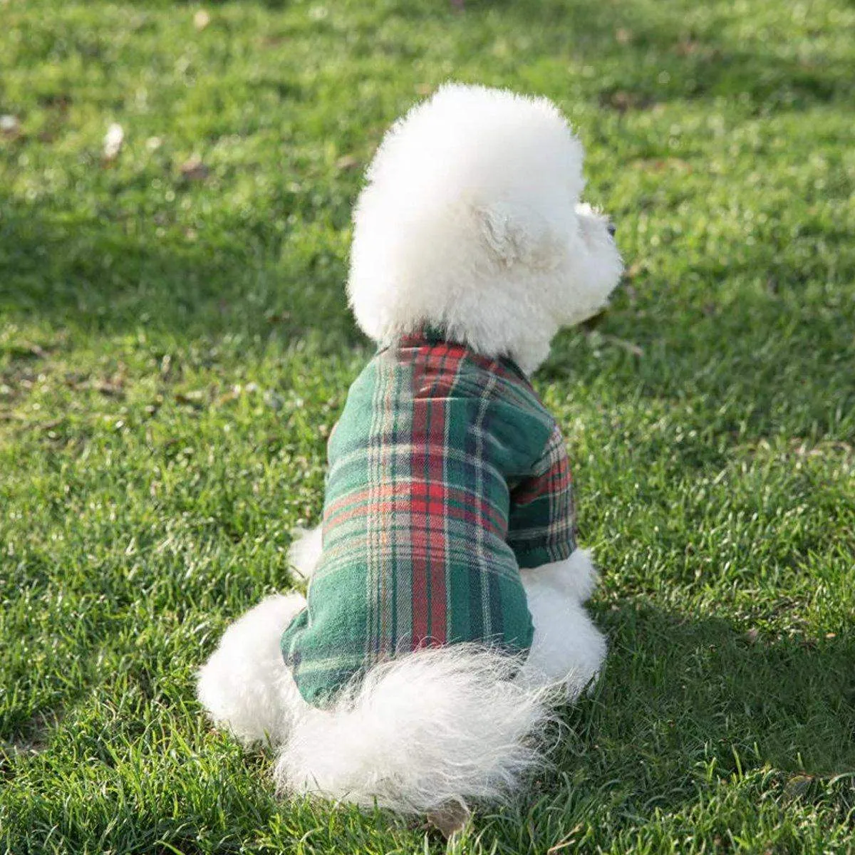 Medium And Large Dog Dog Cat Corgi Chai Dog Shirt Suit Dress