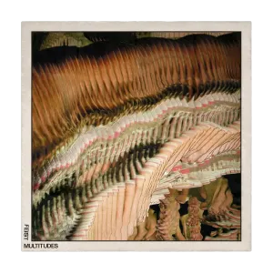 Multitudes Photo 100% Silk Scarf