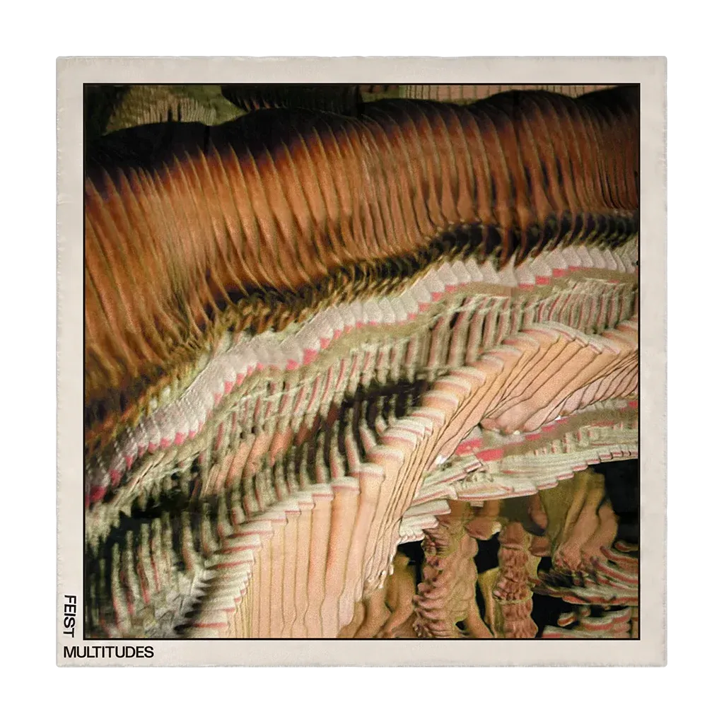 Multitudes Photo 100% Silk Scarf