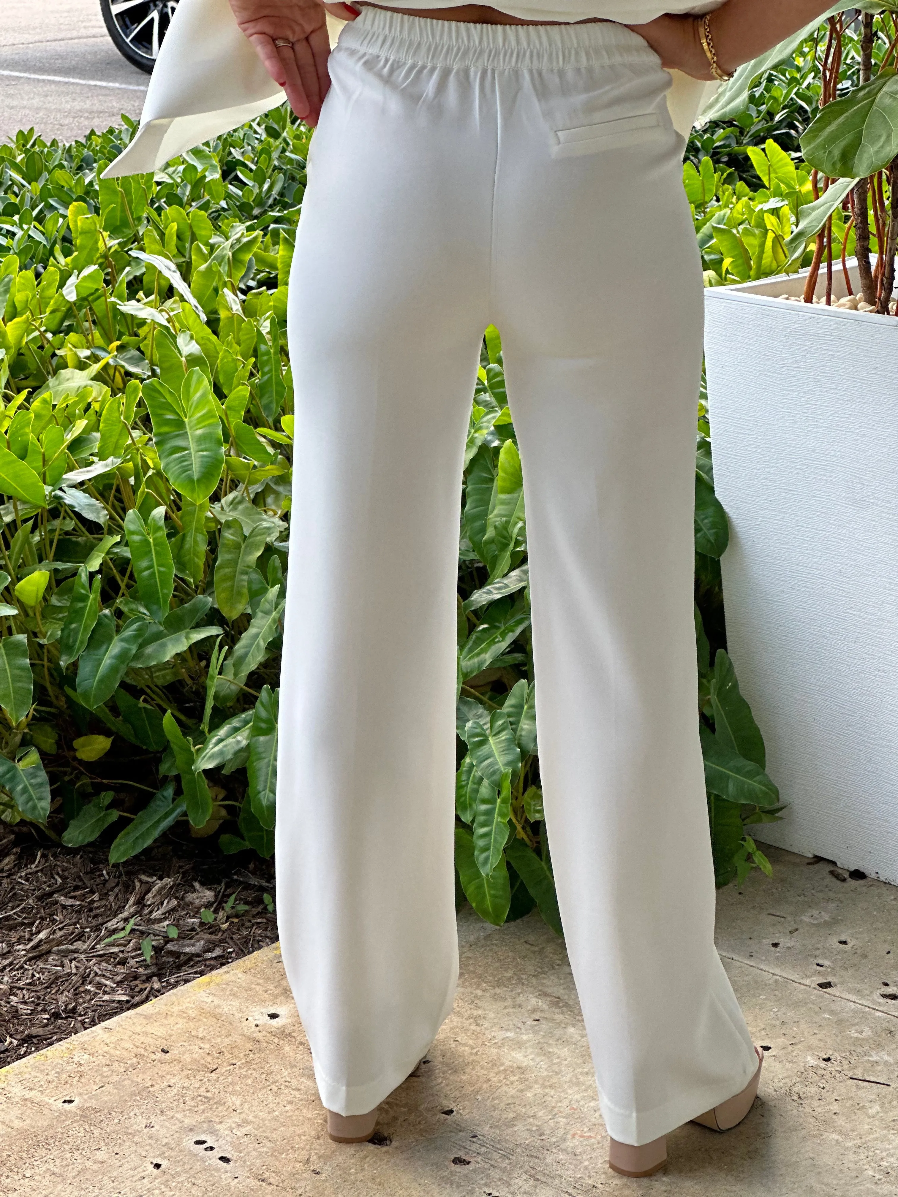 "Zoila" Formal Straight Leg Blazer Pants
