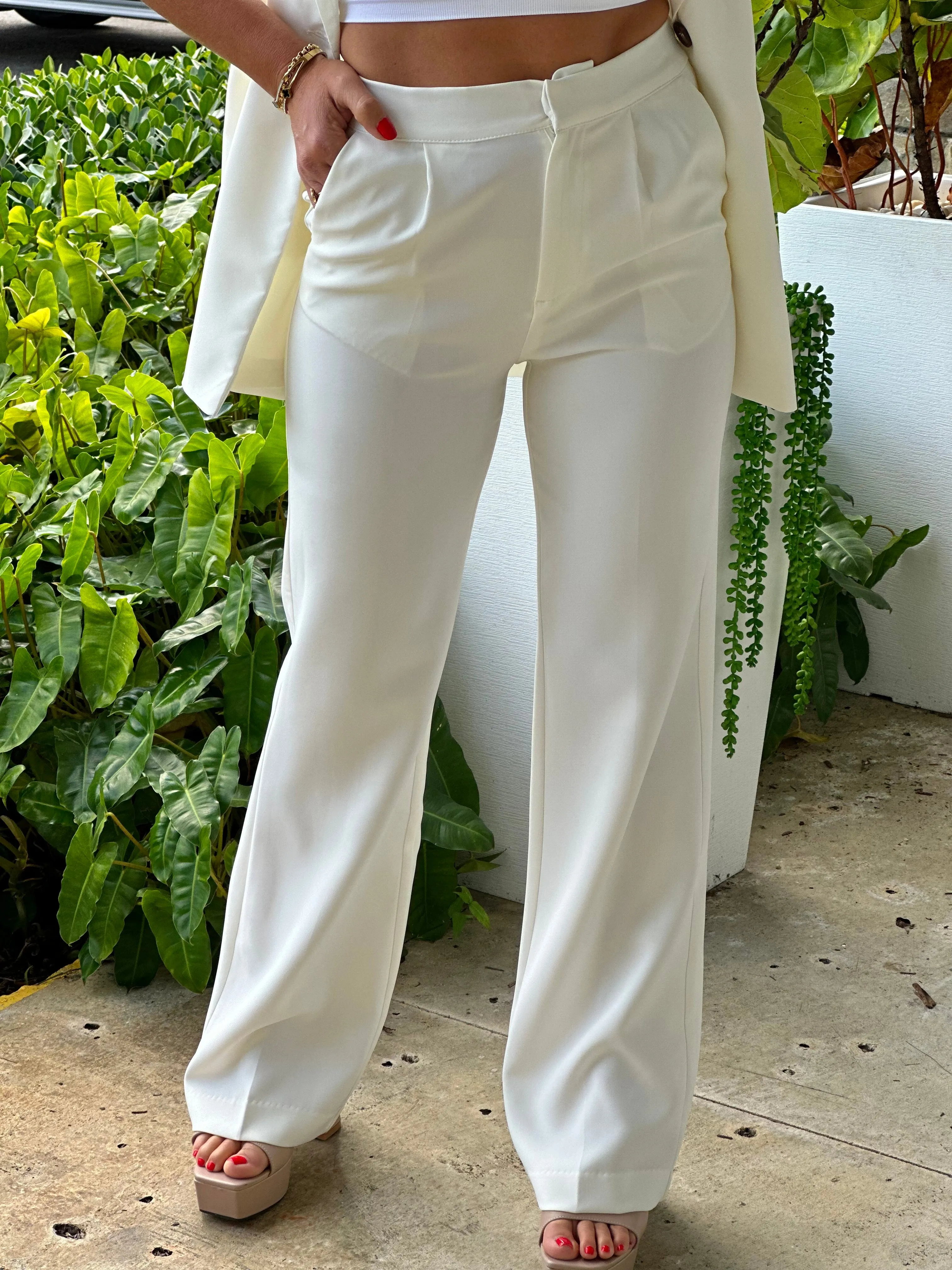 "Zoila" Formal Straight Leg Blazer Pants