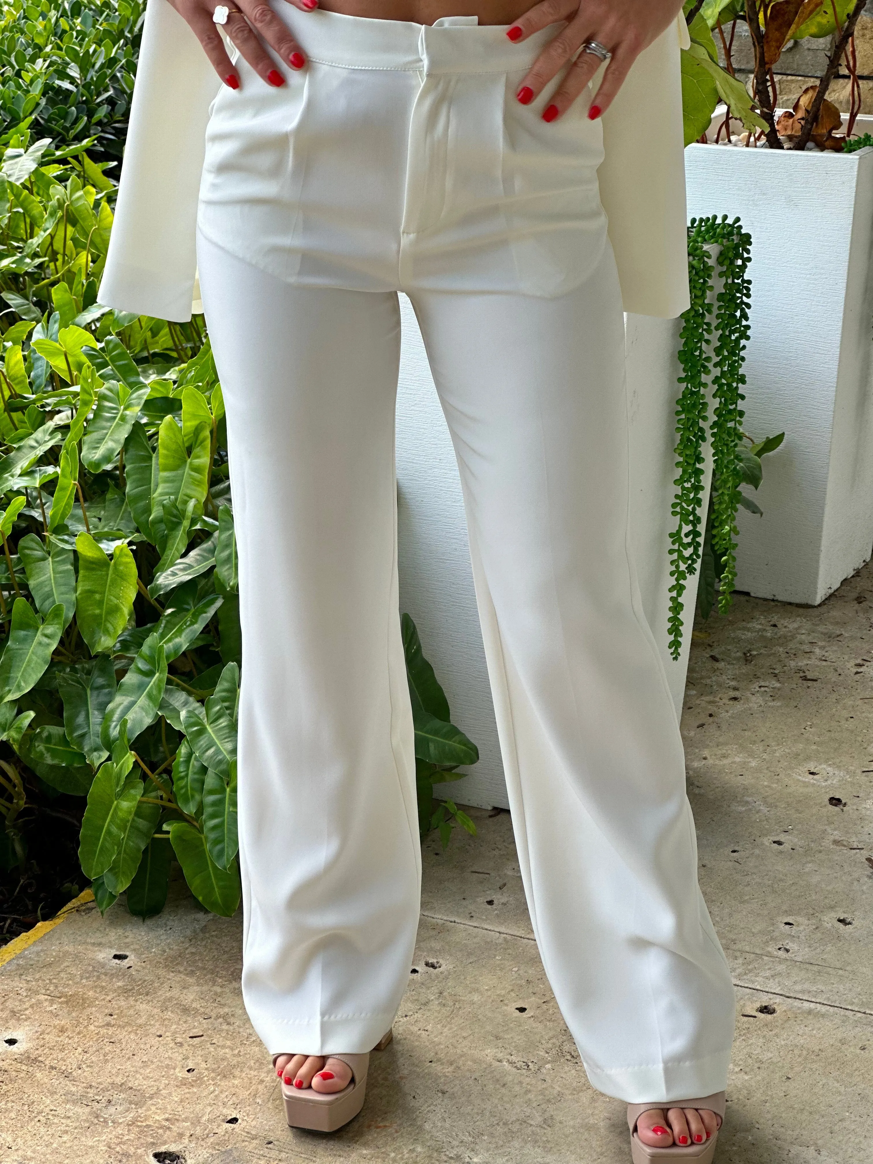 "Zoila" Formal Straight Leg Blazer Pants