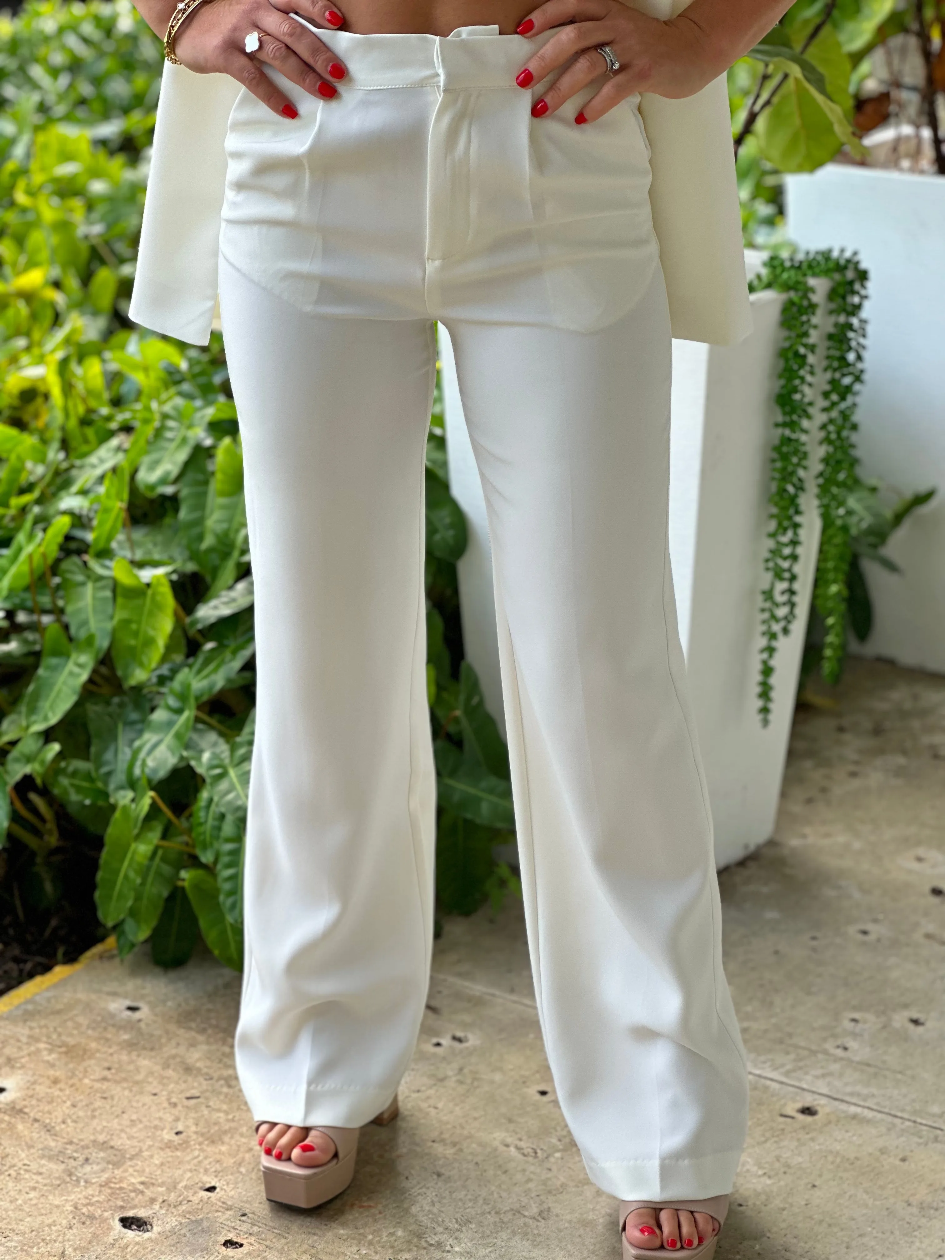 "Zoila" Formal Straight Leg Blazer Pants