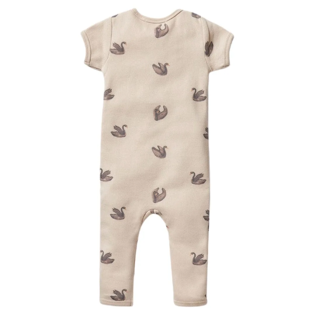 Rib Short Sleeve Zipsuit - Little Swan
