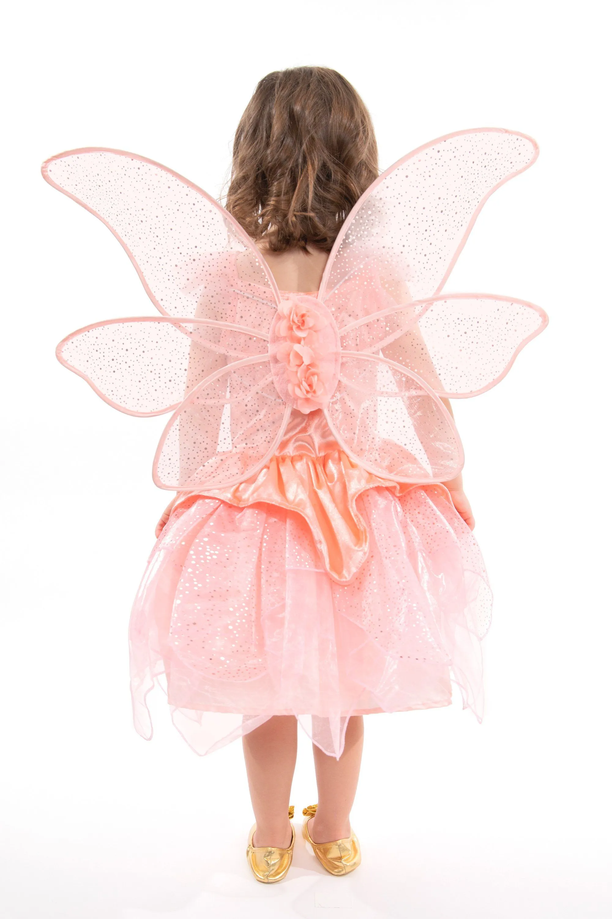Rose Garden Fairy Wings