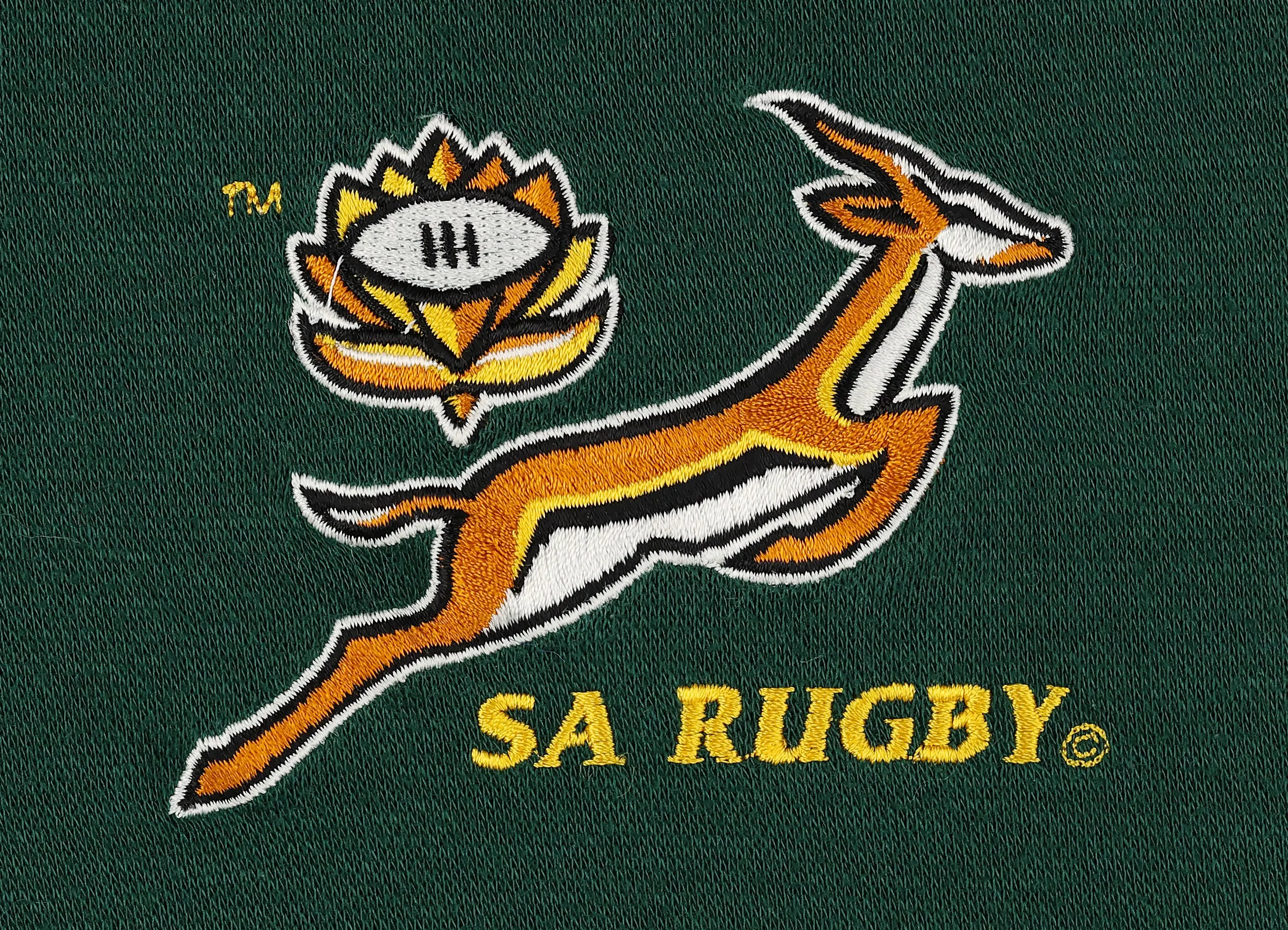 South Africa Rugby Canterbury Shirt - Green - XXL