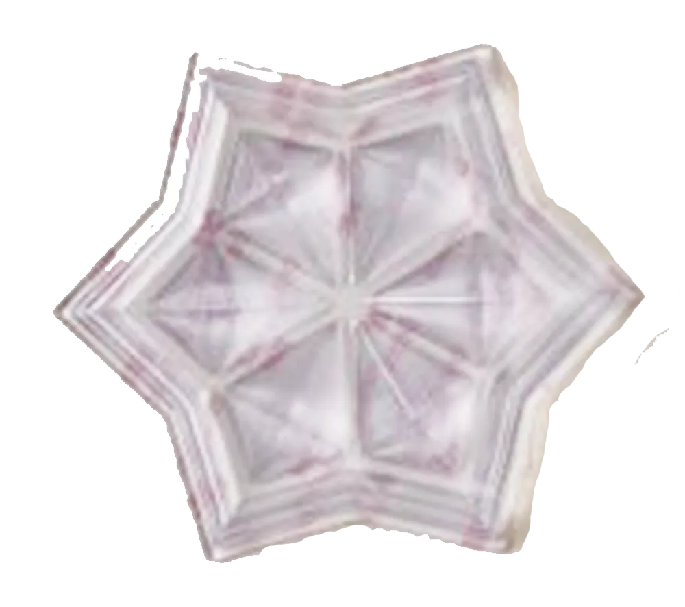 Winter-Accessories Star Studded Stomp Pad