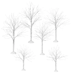 Winter Birch